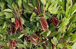 pulicha-spinach