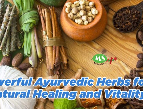 Powerful Ayurvedic Herbs for Natural Healing and Vitality